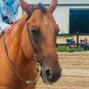 Meet your Posher, Amelia